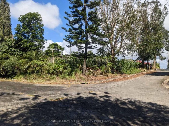 Corner Lot For Sale inside WINDSOR HTS. RESIDENTIAL EST. in TAGAYTAY