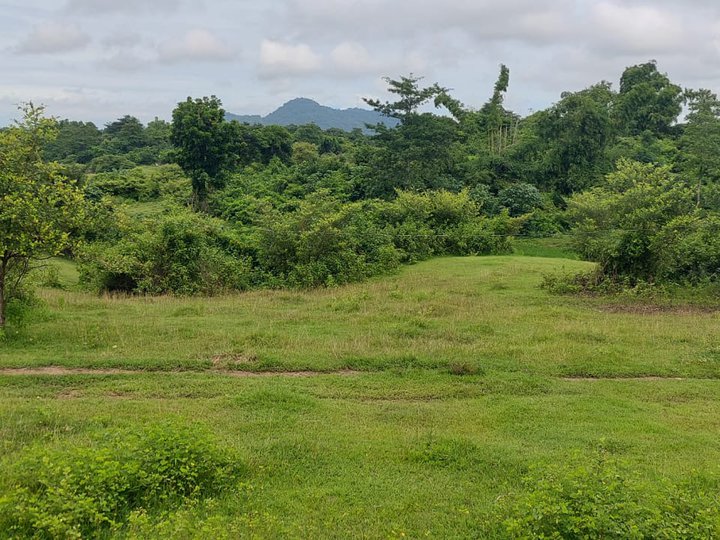 4,000 sqm Farm Lot For Sale in Cuyapo Nueva Ecija