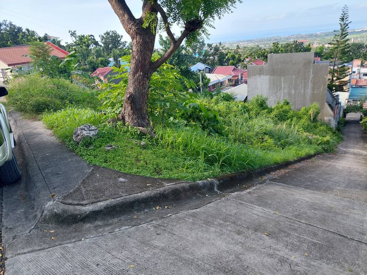 143 sgm  Residential  Lot  Overlooking in Talisay, Cebu City