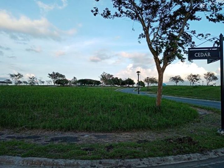 Lot for sale in Tagaytay Highlands Sycamore