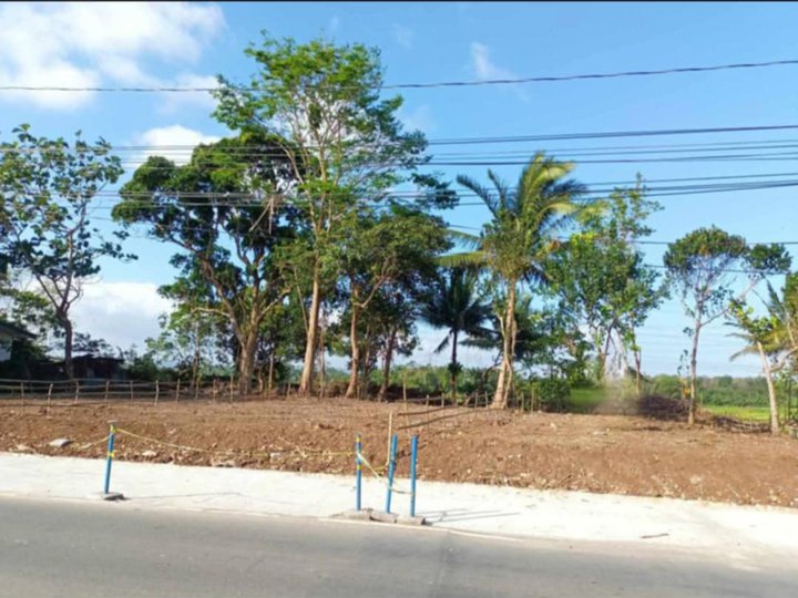 474 SQM ROADSIDE LOT FOR SALE IN TAYABAS QUEZON