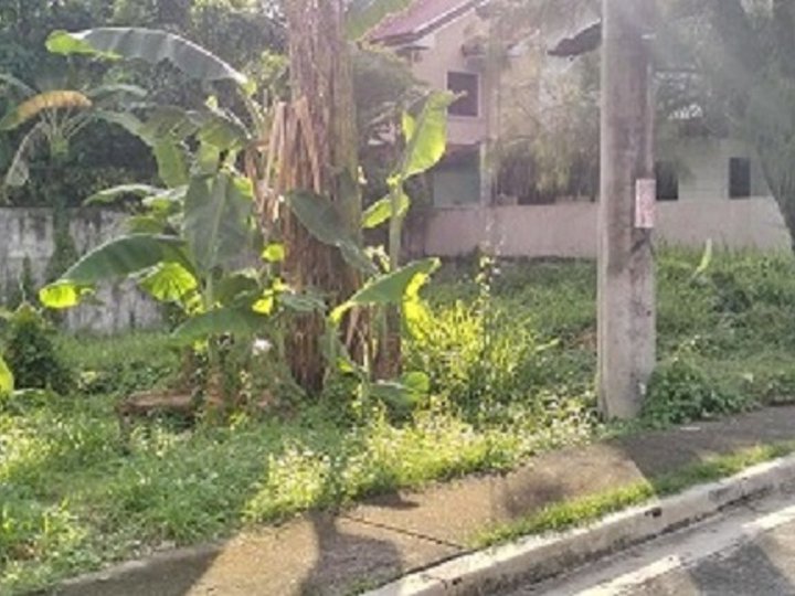 142sqm Residential lot for Sale in Royale Estates Las Pinas City