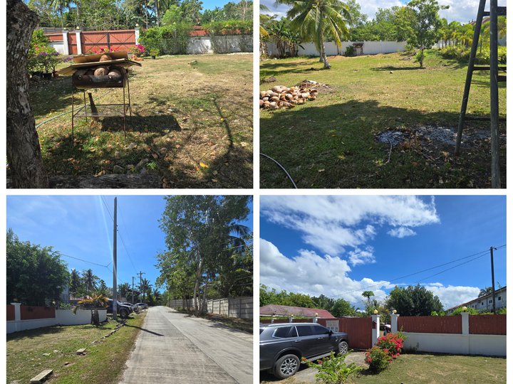 Ready to Build Commercial Lot for Sale in Tawala ,Panglao Bohol