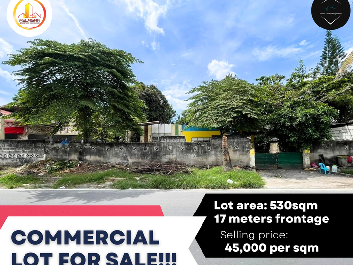 530 sqm Commercial Lot For Sale in Angeles City, Pampanga.