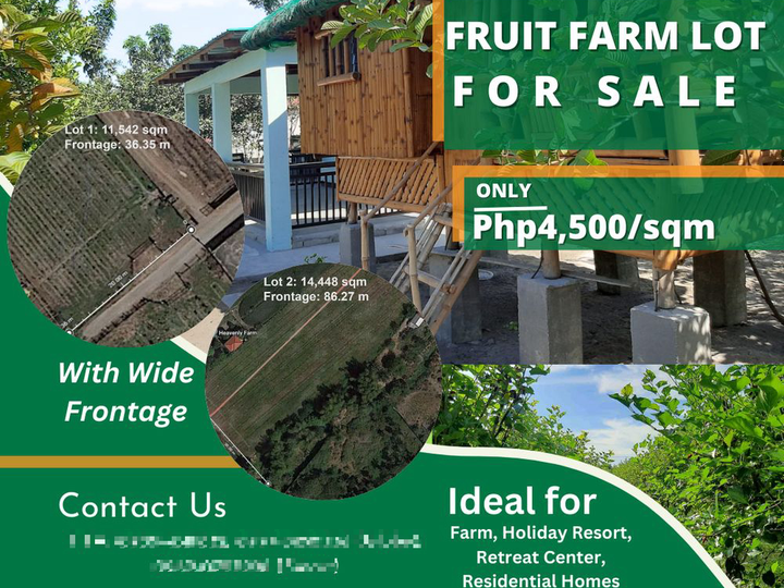 For Sale: 25,990 sqm Residential Fruit Farm Lots in Magalang, Pampanga