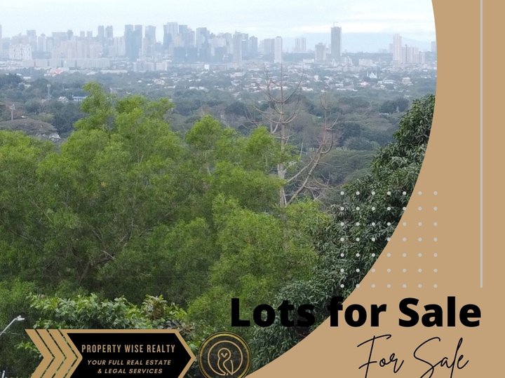 Beautiful Lot for sale inside a preserved nature sanctuary at Parkridge Antipolo