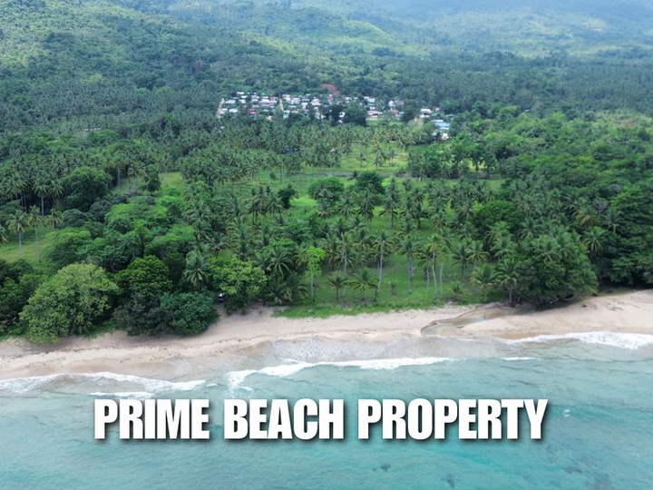 5.94 hectares Beach Property For Sale in Puerto Princesa Palawan