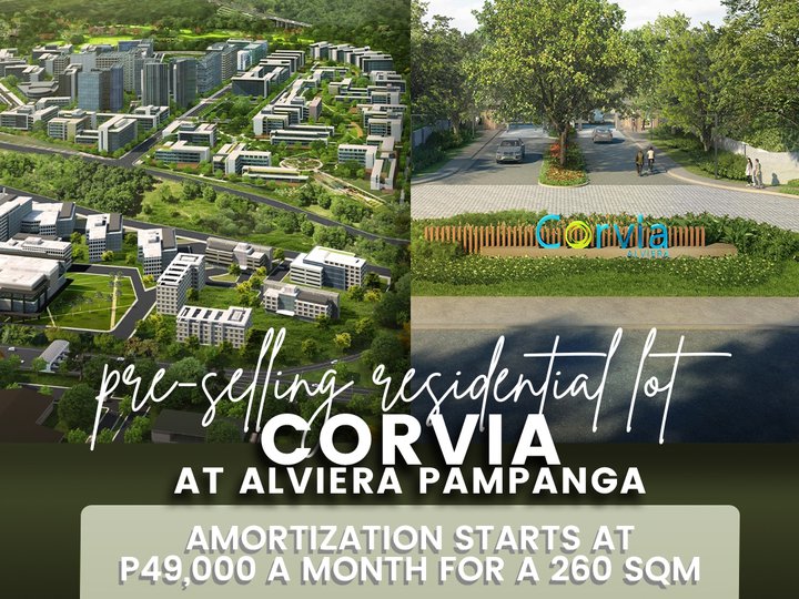 260 sqm Residential Lot For Sale in Porac Pampanga | Ayala Development