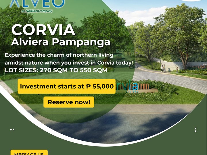 Ayala Lot For Sale in Pampanga