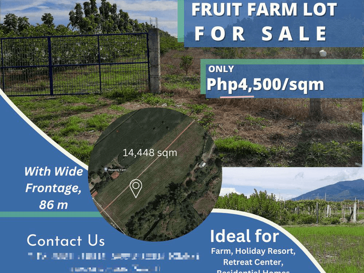 14,448 sqm Residential Fruit Farm Lot For Sale in Magalang, Pampanga