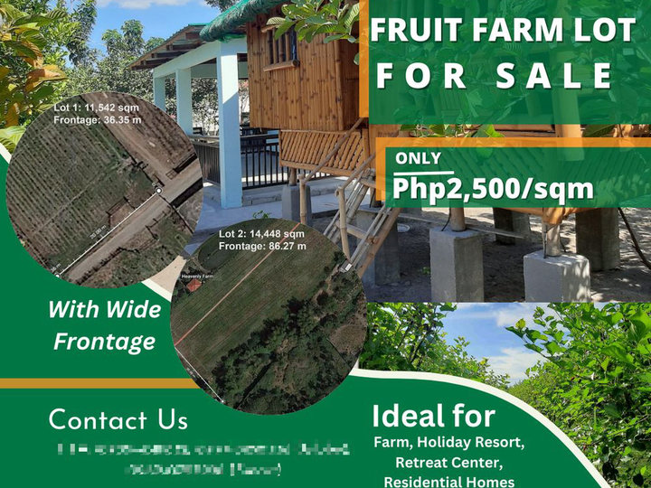 For Sale 25,990 sqm Residential Fruit Farm Lots in Magalang, Pampanga