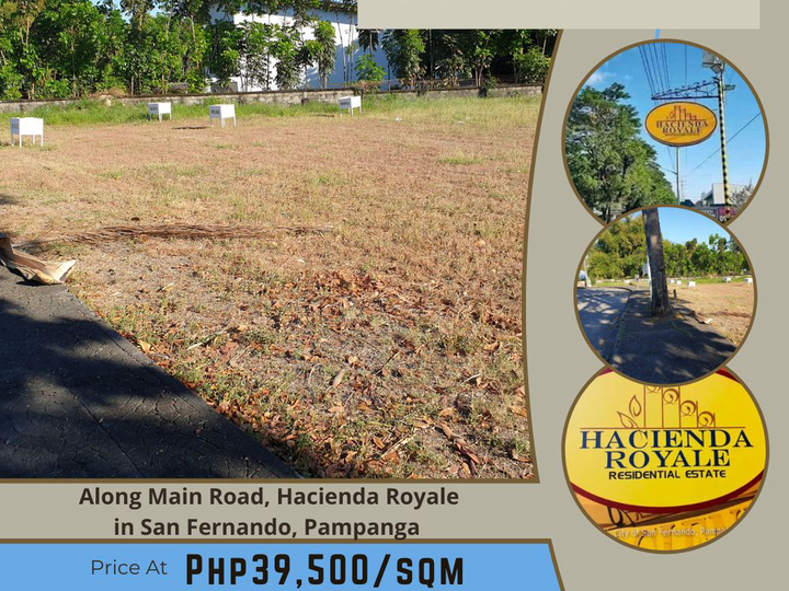 Premium Lot For Sale: 1,100 sqm Main Road, Hacienda Royale, Pampanga