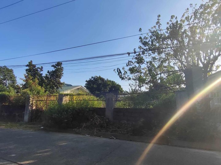 450 sqm Residential Lot For Sale in Villa Gloria Angeles Pampanga