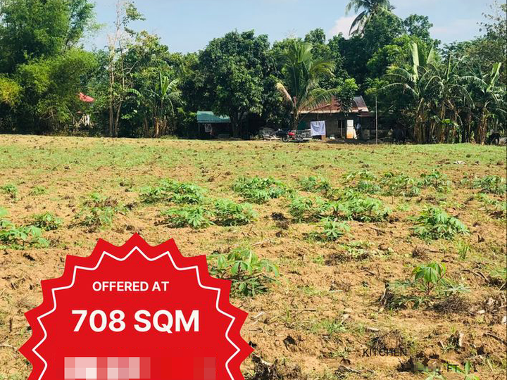 708 sqm Farm Lot For Sale in Tuy Batangas