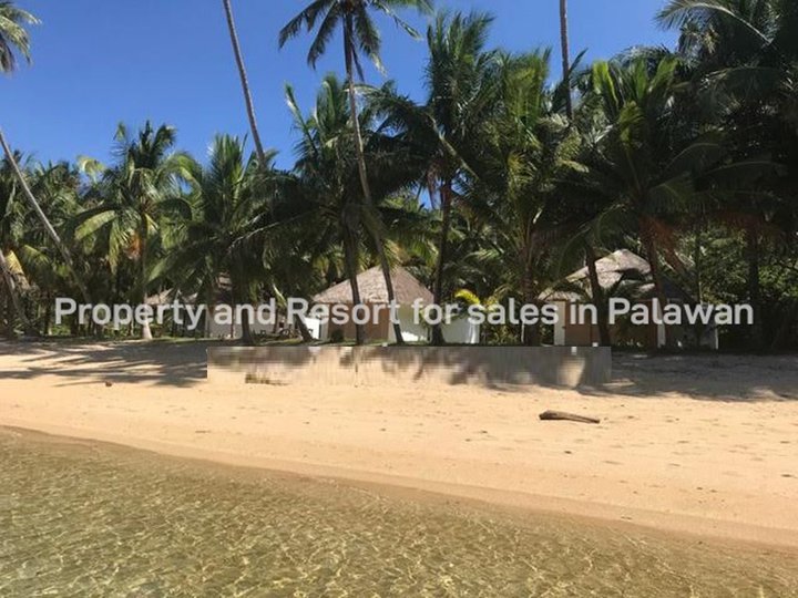 31 hectares Beach Property For Sale By Owner in Busuanga Palawan