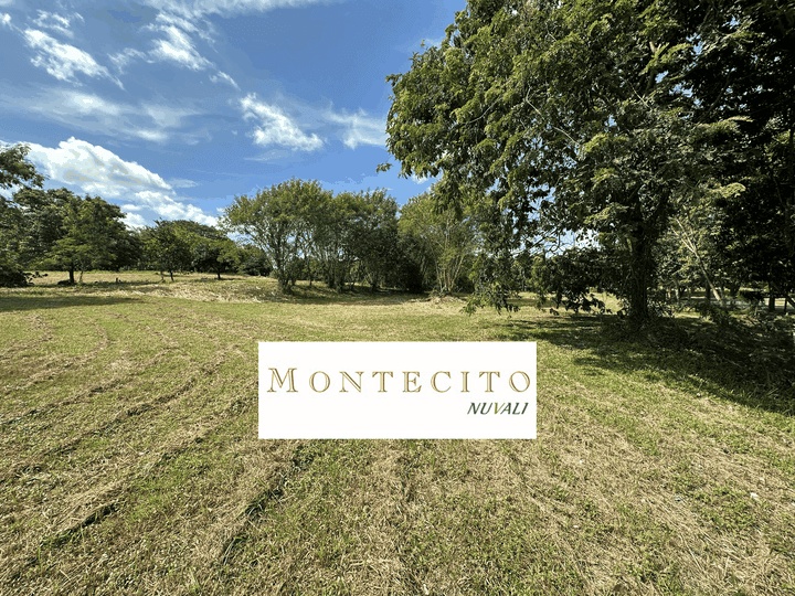 Montecito NUVALI for Sale, Tranche 4 (875 sqm)