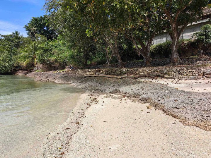 4.5 hectares Beach Property For Sale in Samal Davao del Norte