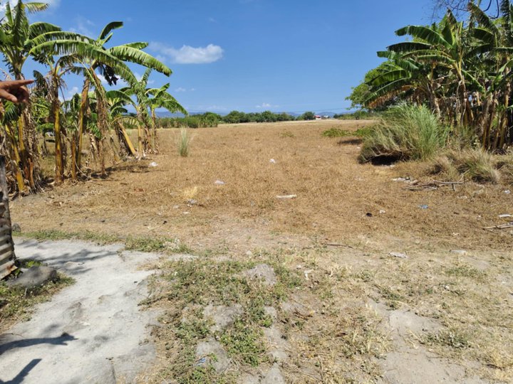 1.5 - 1.7 hectares Commercial Lot For Sale in Jalajala Rizal