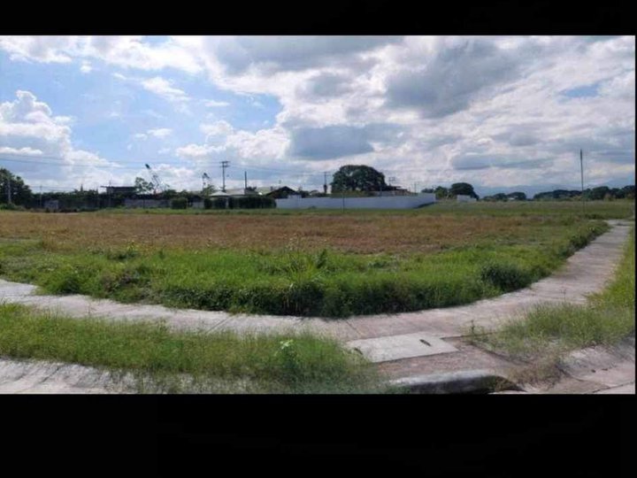 196 sqm Residential Lot For Sale in Angeles Pampanga