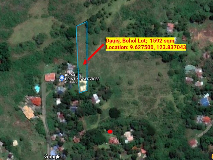 Lot For Sale in Panglao and Dauis Island Bohol