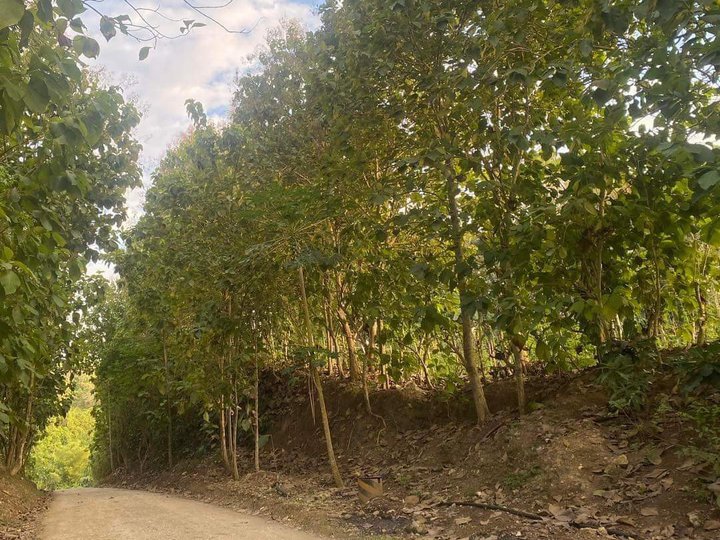 8M 3,000 sqm Land For Sale in Taguanao Cagayan de Oro Mis Or