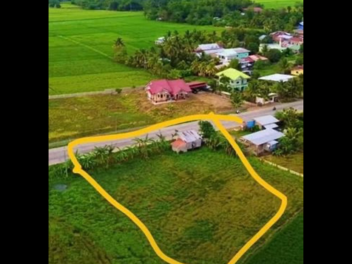3,500 sqm Commercial Lot for Sale in Pagadian Zamboanga del Sur