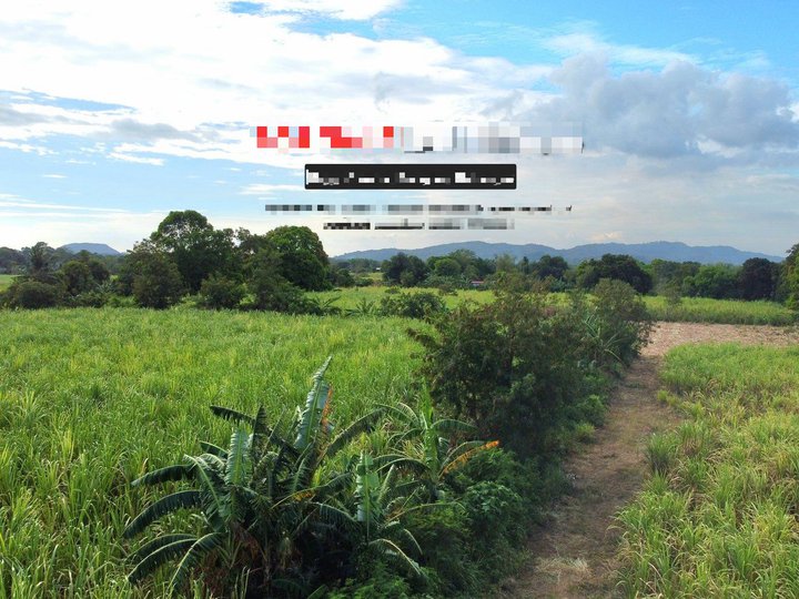 21 hectares Land For Sale in Balayan Batangas CLEAN TITLE Negotiable