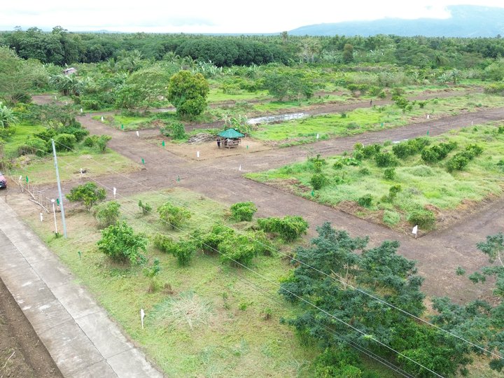 100 sqm Residential Farm For Sale in Padre Garcia Batangas