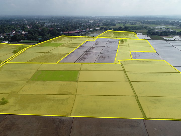 Agricultural lot in Bustos, Bulacan for sale