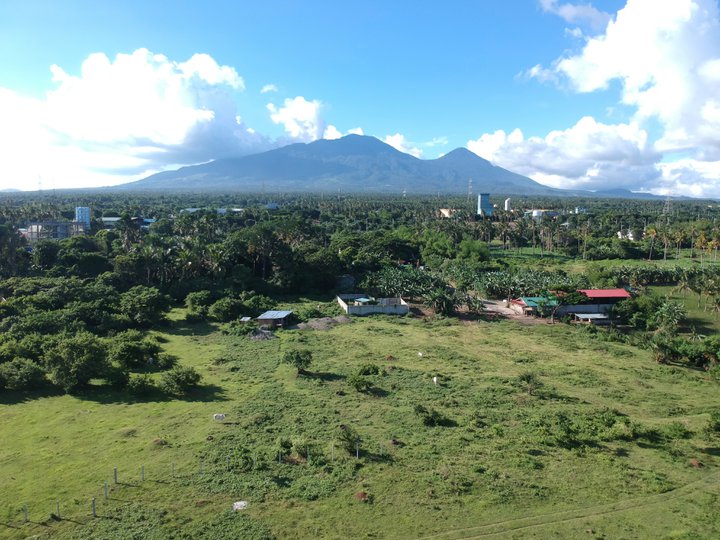 2.17 hectares Agro-Industrial Farm For Sale in Tayabas Quezon