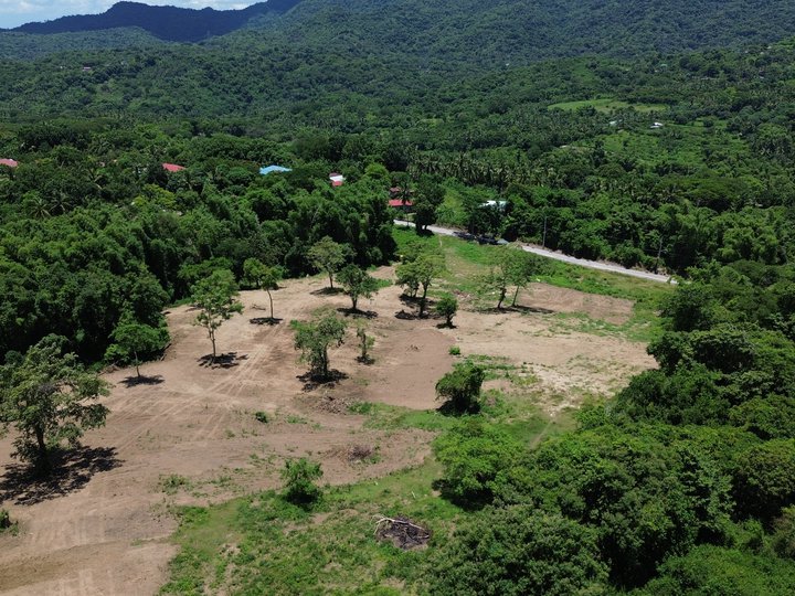 READY TO TRANSFER - 100 sqm Residential Farm For Sale in Batangas City