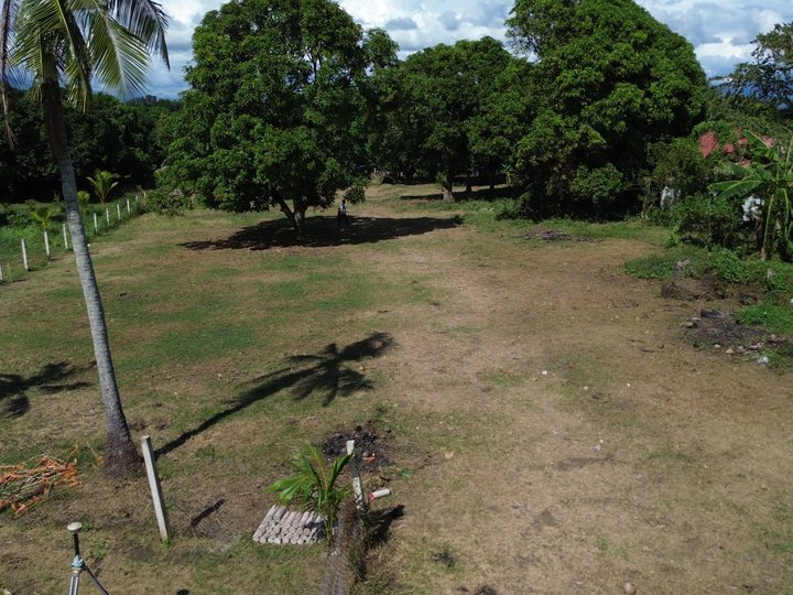 150 sqm Residential Farm For Sale in San Juan Batangas FREE FENCE & KUBO