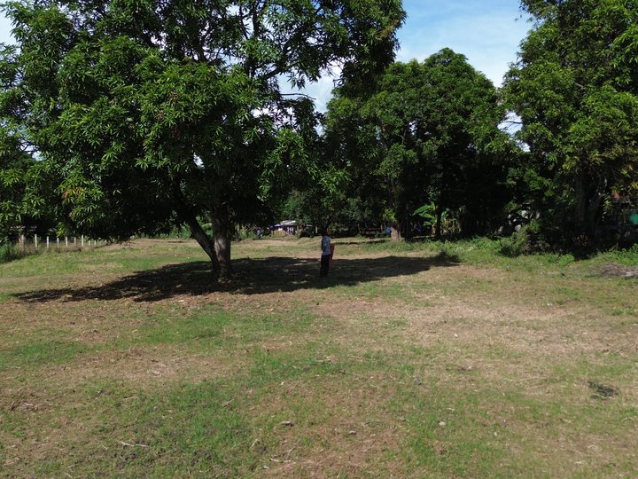 125 sqm Residential Farm For Sale in San Juan Batangas