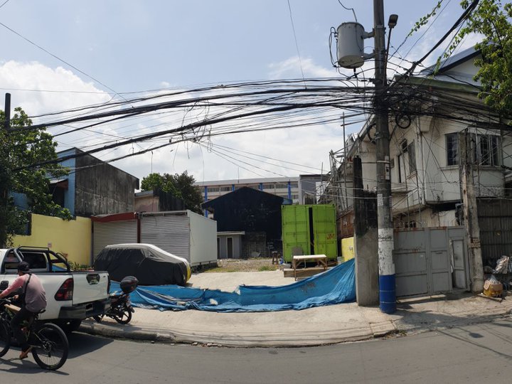 342 sqm Residential / Commercial Lot For Sale in Pasig