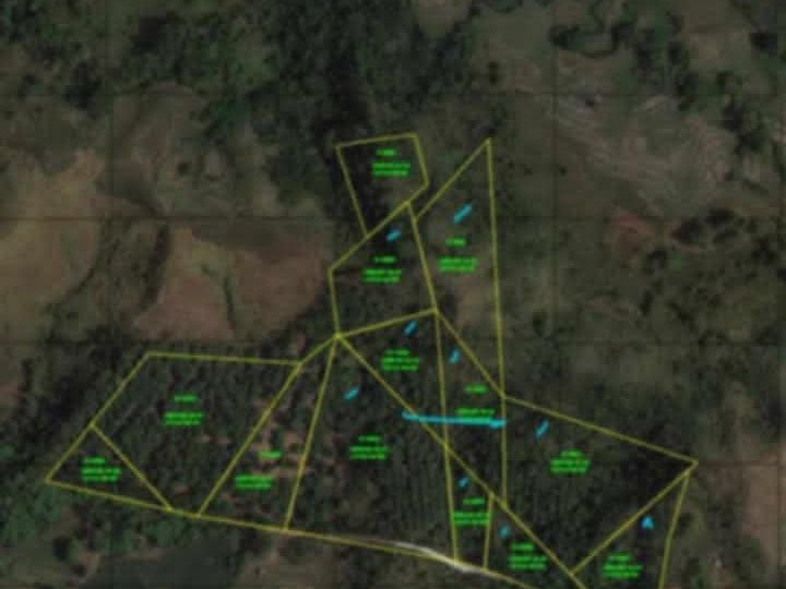 13.5 hectares Residential Farm For Sale By Owner in Baras Rizal