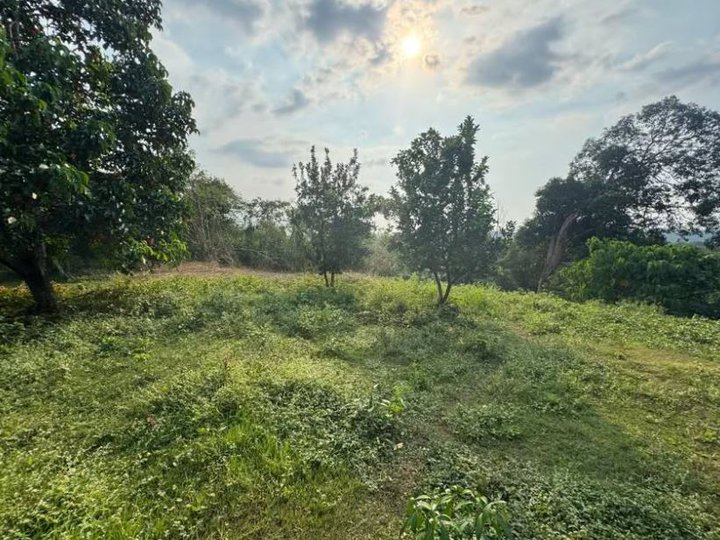 2 Hectares Titled Lot in DRT, Bulacan!