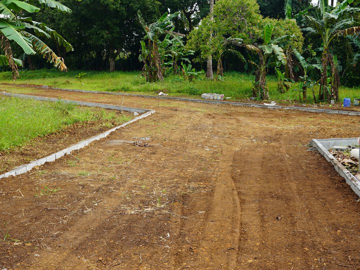 Farm lot for sale in Alfonso Cavite