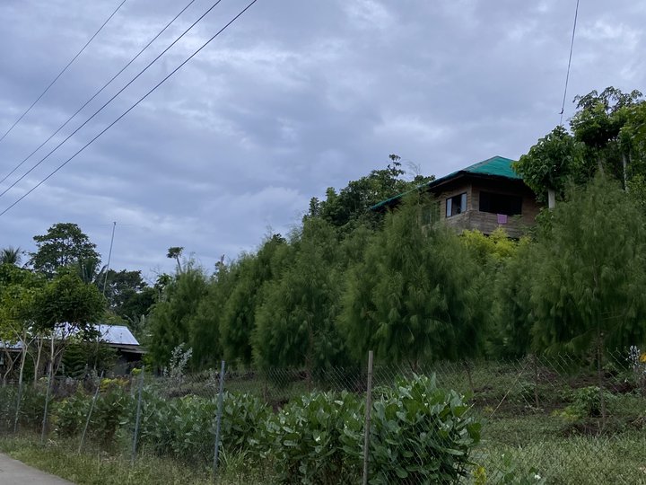 8117sqm House and Lot  For Sale By Owner in Samal Davao del Norte