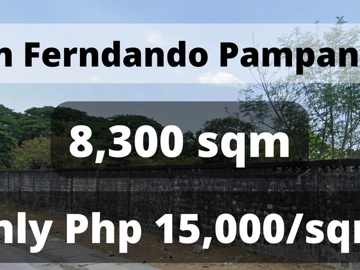 8300 sqm Lot For Sale in San Fernando Pampanga