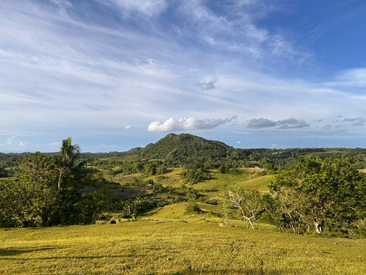 76-Hectare FARM LOT FOR SALE in Tabogon Cebu