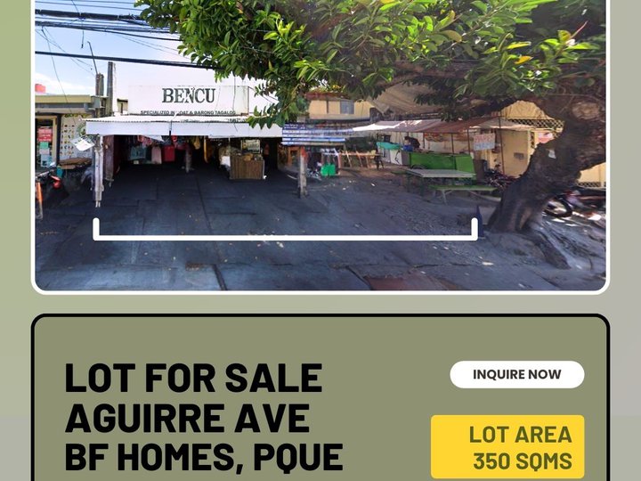 350sqm Commercial / Residential Lot - Aguirre Ave, BF Homes, Paranaque City