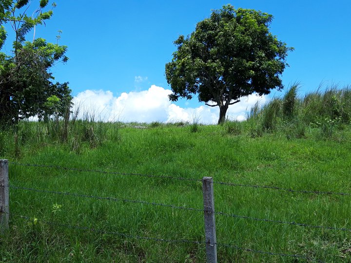 Tagaytay City Cavite Vacant Lot For Sale Lot 1