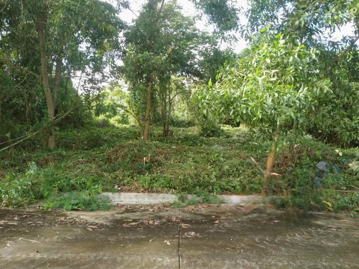 450 sqm lot for sale in Eastland Heights Phase3 Antipolo Rizal