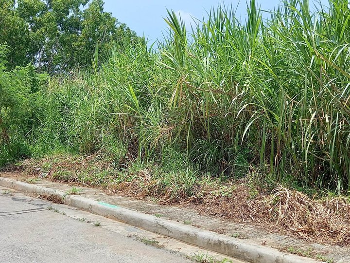 409 sqm Residential Lot in Eastland Heights Antipolo City Rizal