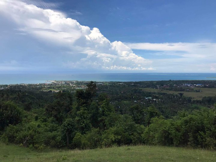 Overlooking Seaview 1,000-5,000sqm Agricultural Farm Tubigon, Bohol, Philippines