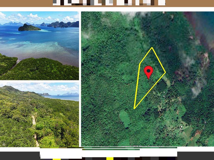 45,863 m2 / 11.3 Acres Grand Overlooking Seaside Estate in El Nido