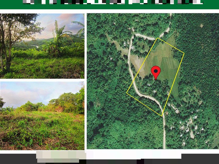 52,610 m2 / 13.0 Acres Overlooking Agricultural Estate with Boundless Potential in El Nido