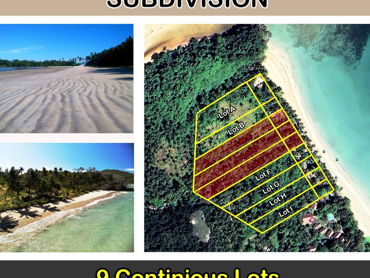 4,275 m2 / 46,015 ft2 San Fernando, El Nido Inclusive White Sunrise Beachfront Subdivision