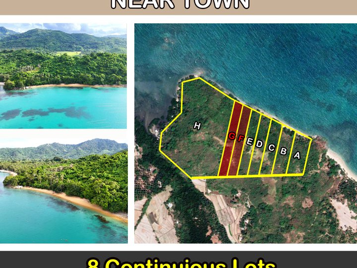 20,000 m2 / 4.94 Acres San Fernando, El Nido White Beachfront Subdivision