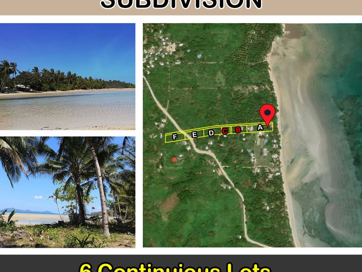 Sibaltan, El Nido Sunrise White Beach Subdivision